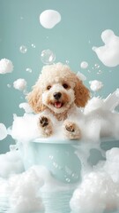 Wall Mural - A Poodle in a whimsical bath with playful bubbles and luxurious accessories, set in a cheerful and colorful environment.