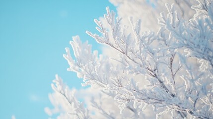 Sticker - Frost-covered branches against a bright blue sky, evoking a serene winter atmosphere.