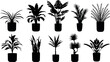 © Ascreator - Potted plant silhouette vector illustration set