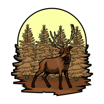 The great outdoor discovery adventure stag with white background