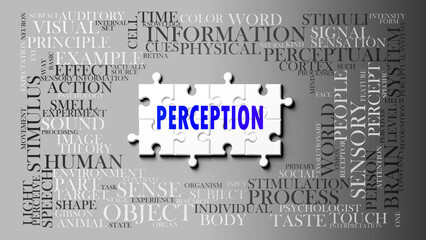 Wall Mural - Perception as a complex subject, related to important topics. Pictured as a puzzle and a word cloud made of most important ideas and phrases related to perception. ,3d illustration