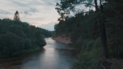 Wall Mural - Rapid river flowing through the forest