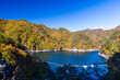 Autumn leaves at Setoai Gorge in Nikko City