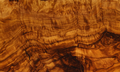 texture of olive wood closeup