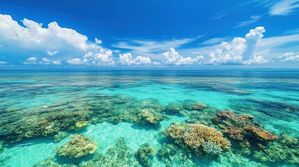 A stunning underwater view showcasing vibrant coral reefs beneath clear turquoise waters and a bright blue sky.