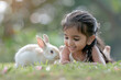 © Niks Ads - little girl child playing with pet rabbit at park