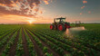 © Niks Ads - heavy green tractor spraying pesticides on an agricultural field with rows of corn during sunset