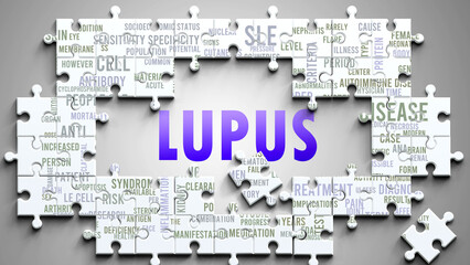 Wall Mural - Lupus as a complex subject, related to important topics. Pictured as a puzzle and a word cloud made of most important ideas and phrases related to lupus. ,3d illustration