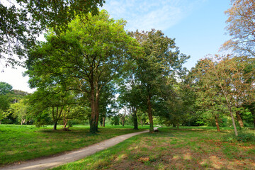 Poster - Arboretum of Paris city in the Vincennes wood