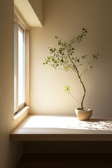 A minimalist workspace with a sleek desk, a single plant, and a large window letting in natural light