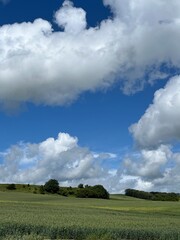 Wall Mural - clouds over the field