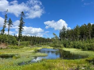 lake in the mountains