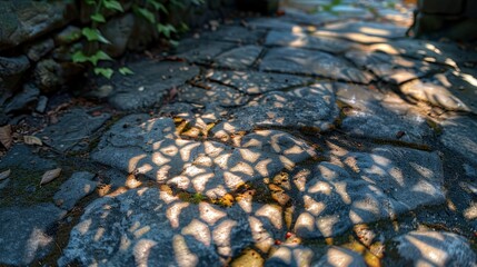 Wall Mural - The shadow of a leaf casting an intricate pattern on a sunlit stone pathway, with the shadow adding texture and detail to the scene