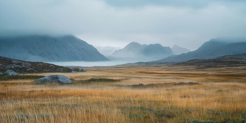 Wall Mural - A field of tall grass with a mountain in the background. The sky is cloudy and the grass is dry