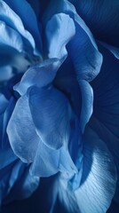 Wall Mural - A blue rose with smoke and water droplets surrounding it. The smoke and water droplets give the impression of a mystical, otherworldly flower