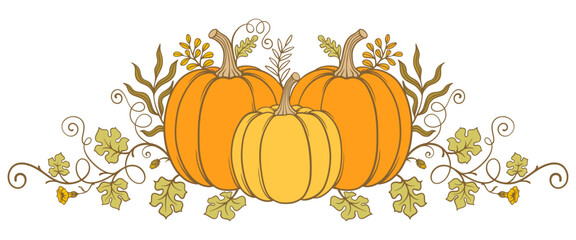 Poster - pumpkin with leaves, Pumpkin vector illustration suitable for thanksgiving, halloween,autumn,fall season design, vector eps	