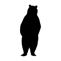 Sticker - A bear standing stylish pose only black color silhouette