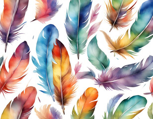 Wall Mural - watercolor Colorful Feather with white background