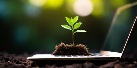 Wall Mural - A green plant sprouts from a laptop keyboard. Eco system concept, sustainability. Generative AI.