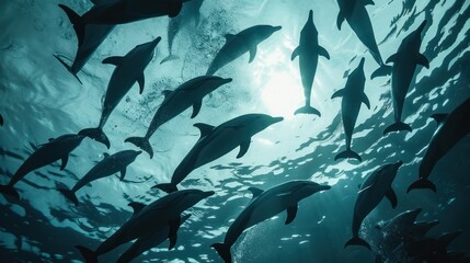 A captivating underwater scene, with a school of dolphins playfully leaping and frolicking in the ocean, their silhouettes dancing against the sunlit surface.