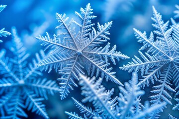 Wall Mural - Macro close-up of intricate beautiful snowflakes in winter time with blue background