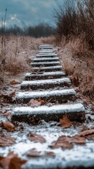 Stone steps leading up to distance,covered in snow and ice,abandoned farm field,winter landscape.