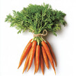 © designer_asif - Create an image of a fresh bunch of carrots, isolated on a clean white background. Bunch of carrots