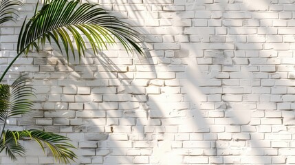 Wall Mural - Coconut palm leaf against white brick wall.