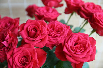 Wall Mural - Bouquet of red garden roses.Close-up. Blurred floral background