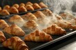 © Iryna - Two freshly baked tray of French croissants with steam coming off them