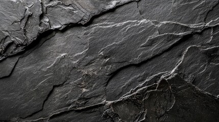 Wall Mural - Textured black stone surface with a combination of rough and smooth areas, creating a natural, organic feel