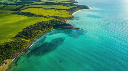 Wall Mural - An aerial view of a winding coastline, showing the contrast between the turquoise water and the lush green land.