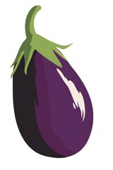 Wall Mural - Illustration of a Fresh Eggplant on White Background