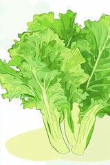 Wall Mural - Vibrant Green Lettuce in Simple Illustration Style