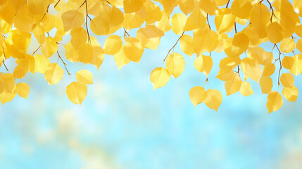 Wall Mural - bright yellow autumn leaves against a blue background