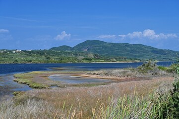 Beautiful aerial vibrant view of Korission Lake Lagoon landscape, Corfu island, Greece with pink flamingos flock, Ionian sea beach and mountains