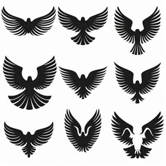 Wall Mural - Set of black wings icons. Wings badges. Collection wings badges. Vector illustration