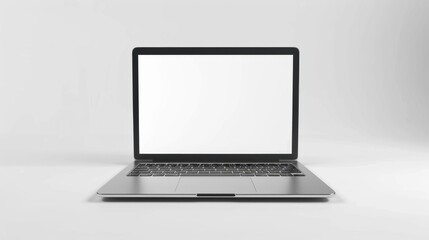 Wall Mural - The Laptop with Blank Screen