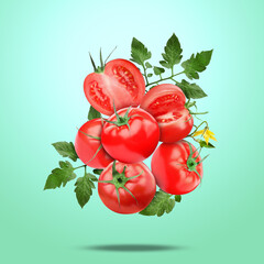 Canvas Print - Fresh tomatoes with green leaves falling on turquoise gradient background