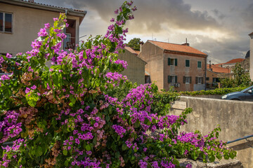 Wall Mural - Streets, alleys and buildings of a historic Mediterranean old town on the Mediterranean Sea. A sunny day in the coastal town with a port on the Adriatic Sea, Zadar, Dalmatia, Croatia