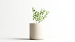 © Tida - A single white flower pot with a small green plant inside is isolated on a white background, representing simplicity, growth, new beginnings, home decor, and minimalist design.