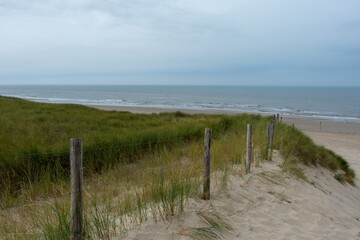 Beach grass and fence on sand dunes