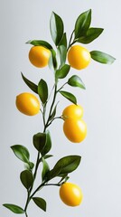 Poster - Lemon tree branch with vibrant yellow lemons