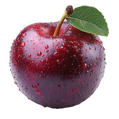 Wall Mural - plum isolated on a transparent background png file no background_1 png file