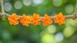 © Avve Diana  - In front of a soft, blurred green background, orange marigold flowers hang elegantly.