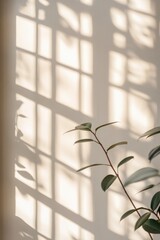 A leafy plant is sitting in front of a window, casting a shadow on the wall. The sunlight is shining through the window, creating a warm and inviting atmosphere