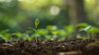© stock.finder - green plant
