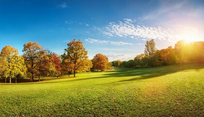 Wall Mural - autumn landscape with trees