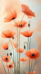 Canvas Print - Orange poppy flowers in sunlight, serene and