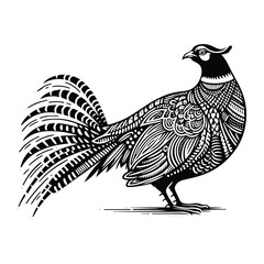 Sticker - Pheasant bird in zentangle art, stencil logo, black and white animal illustration